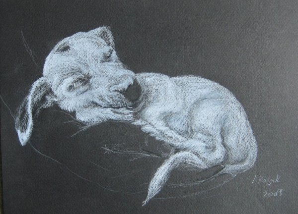 Портрет из карандаша