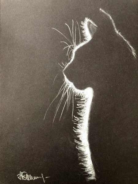 Рисование на черной бумаге гуашью