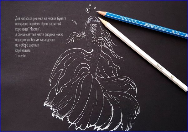 Граттаж Лев