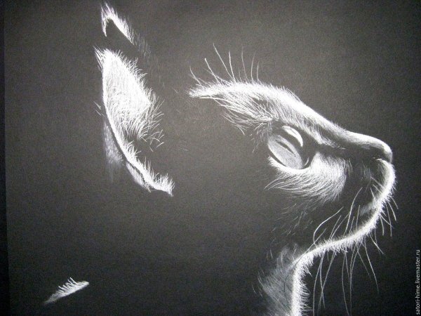 Рисунок на черной бумаге легкий