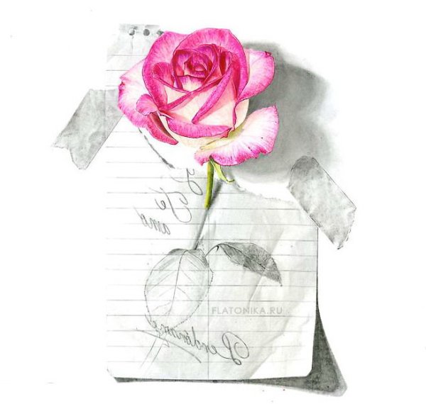 Открытки нарисованные карандашом