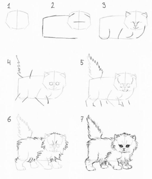 Я хочу котенка рисовать