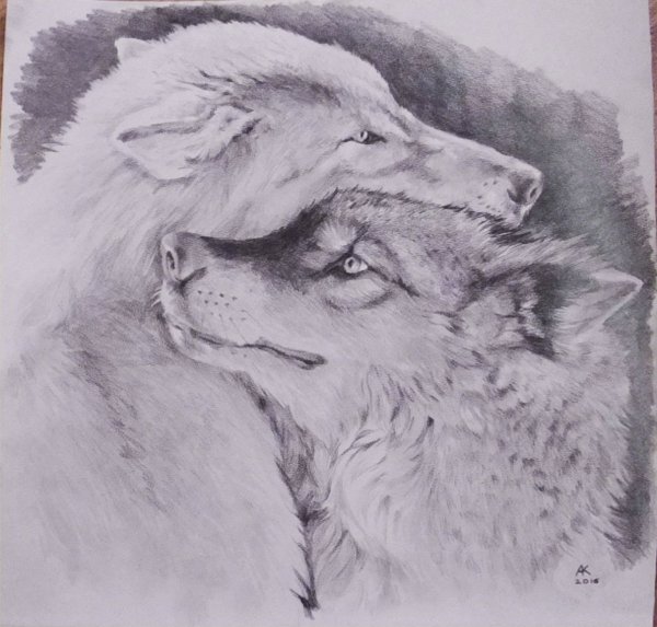 Наброски от художника Danny o Connor.