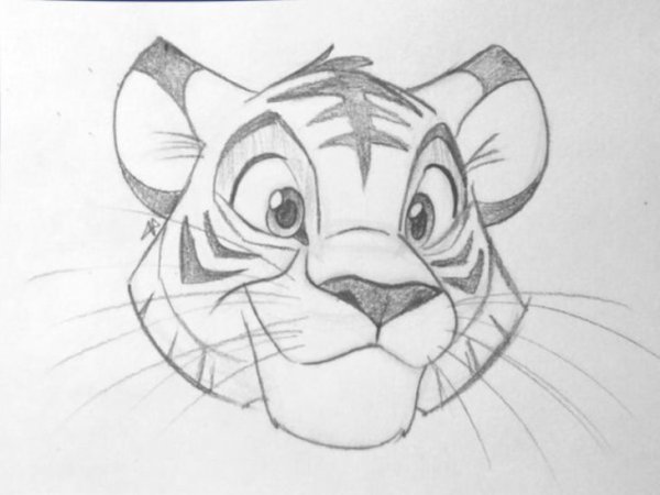 Тигр простым карандашом