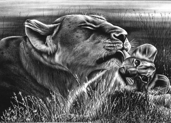 Картины карандашом