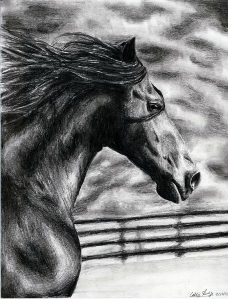 Красивые рисунки карандашом