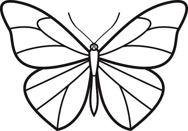 Нарисовать красивую бабочку карандашом