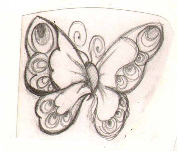 Картинки бабочек для срисовки