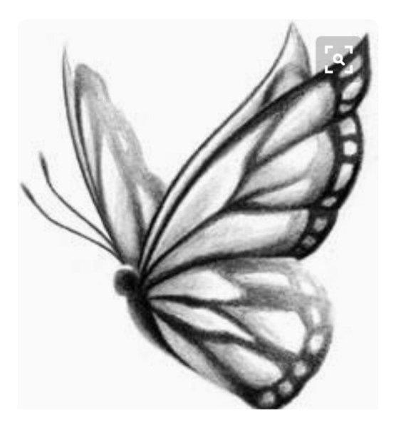 Рисунки бабочек для срисовки