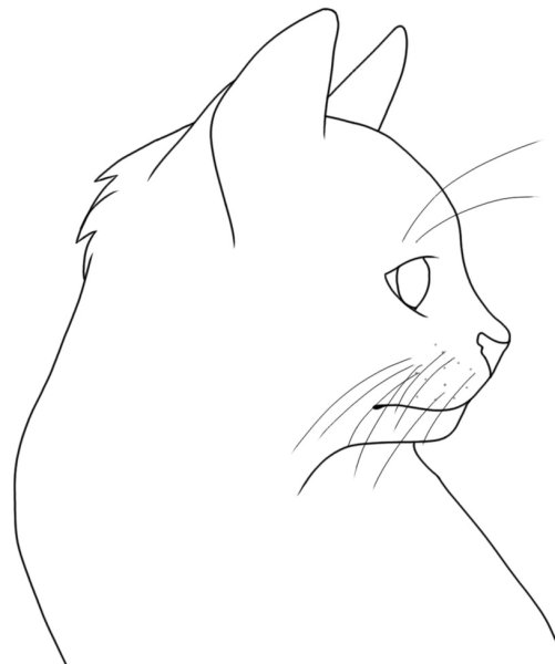 Контур кошки сбоку