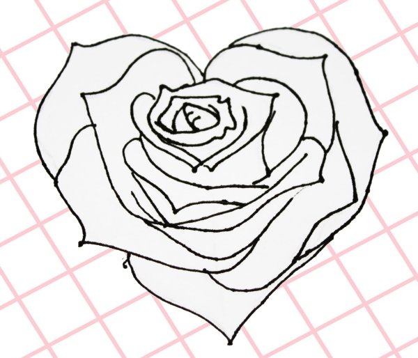 Рисунки розы легкие