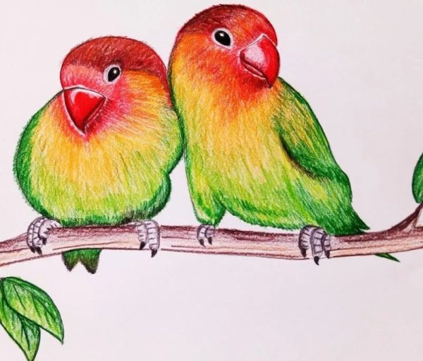 Несложные рисунки цветными карандашами