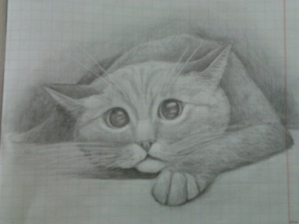 Рисунки на свободную тему для срисовки