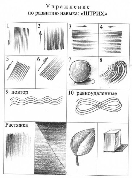 Упражнения по рисунку штриховка