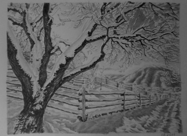 Раскраска зимняя природа