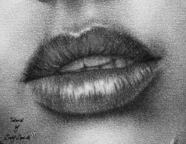 Штриховка губ карандашом