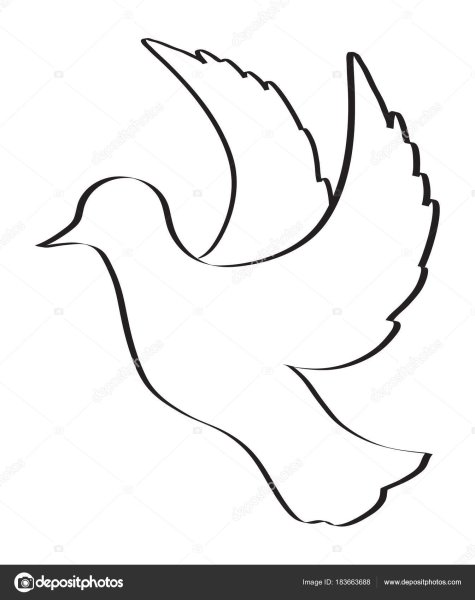 Нарисовать голубя