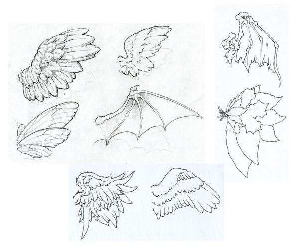 Крылья карандашом