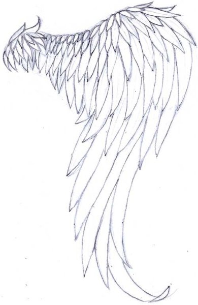 Крылья для срисовки