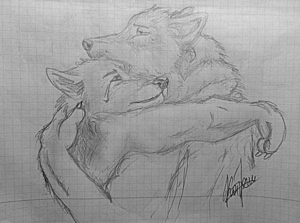 Рисунки Волков карандашом