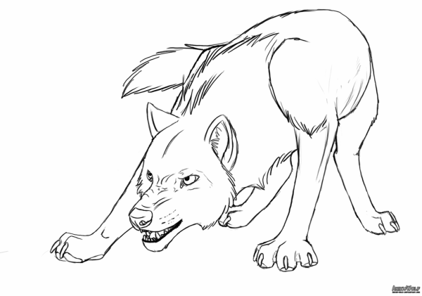 Волчица рисунок карандашом