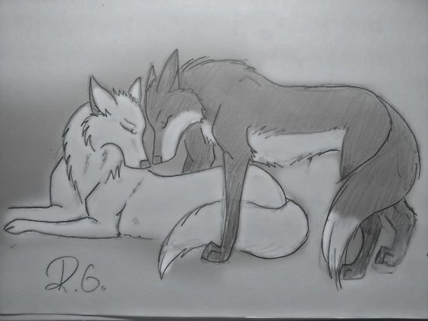 Волк для срисовки