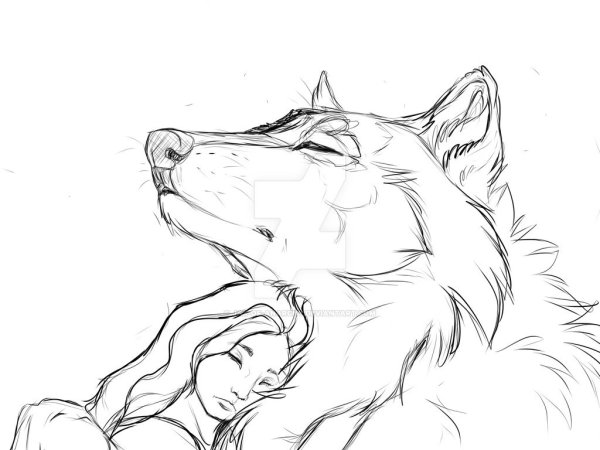 Рисунки Волков карандашом для срисовки