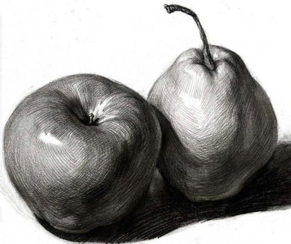 Академическая штриховка натюрморты