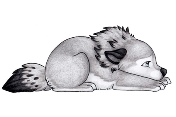 Рисунки для срисовки животные