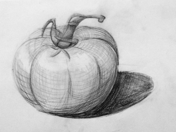Фрукты карандашом