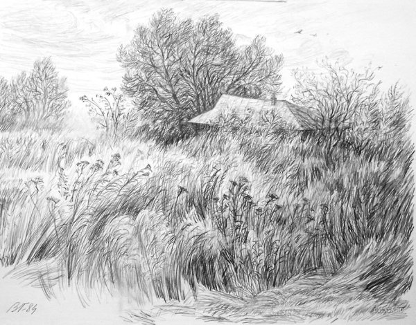 Летний пейзаж Графика