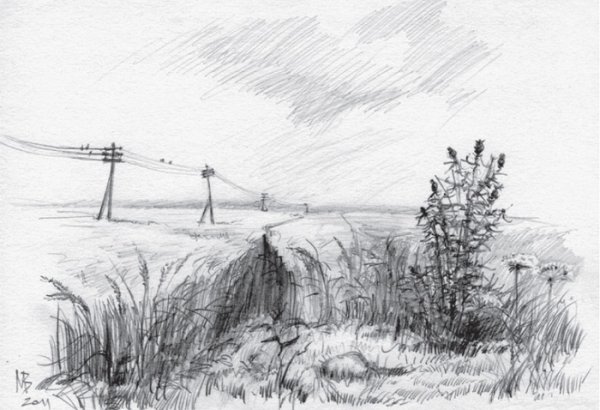 Степь рисунок карандашом