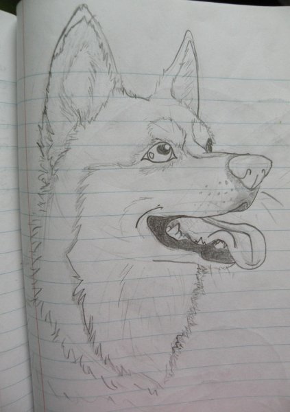 Простые рисунки на альбомном листе