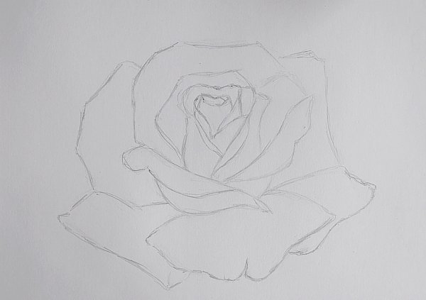 Рисунки на альбомном листе