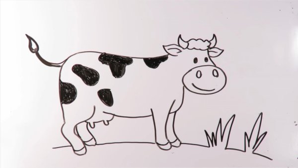 Бычок раскраска для малышей