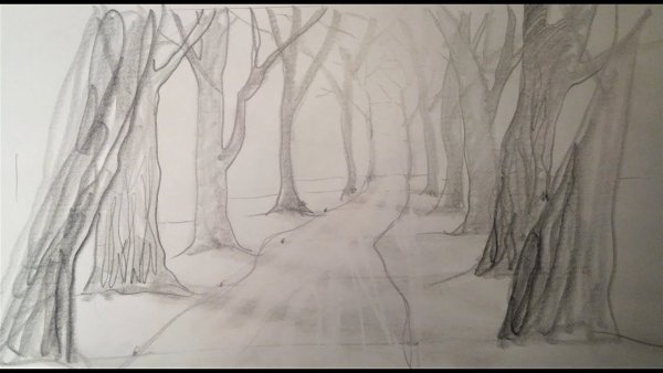 Осенний пейзаж рисунок карандашом