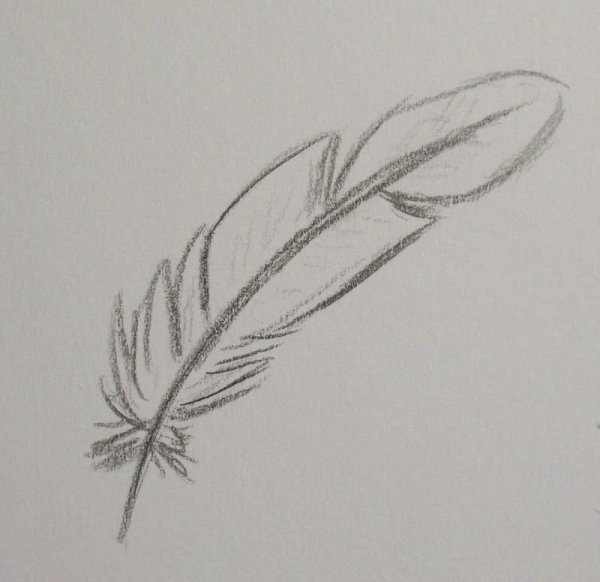 Перо нарисованное простое
