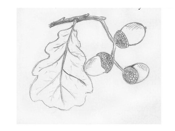 Осенние рисунки