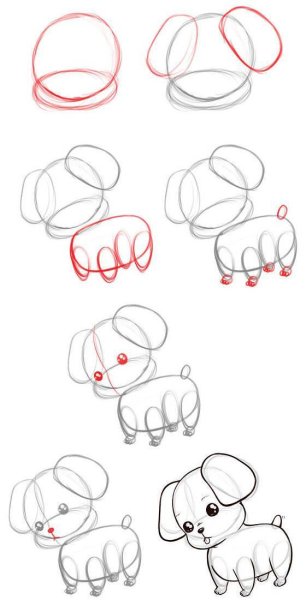 Поэтапное рисование собаки