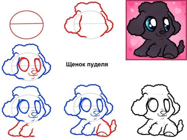 Как нарисовать щенка немецкой овчарки