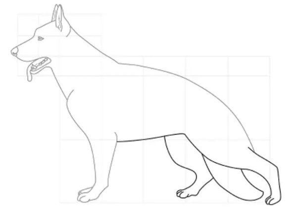 Как рисовать собаку поэтапно