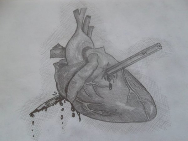 Рисунки карандашом