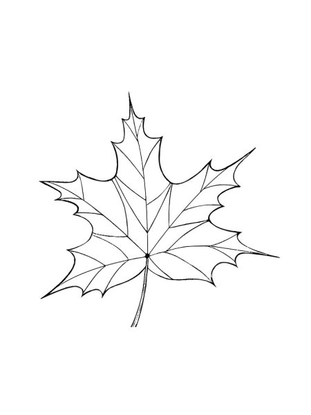 Осенний рисунок карандашом