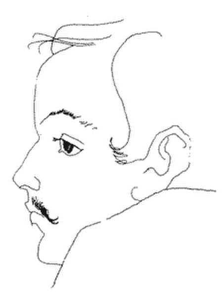 Лермонтов в профиль