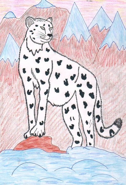 Снежный Барс карандашом