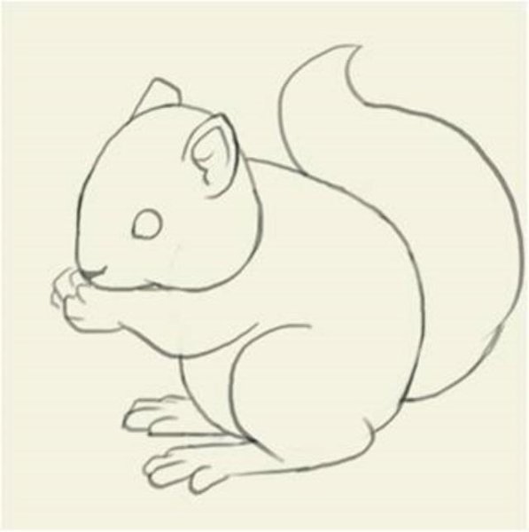 Белка рисунок легкий