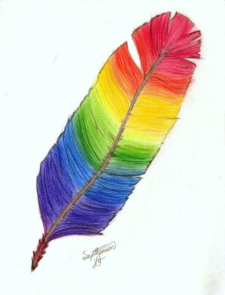 Радужные перья