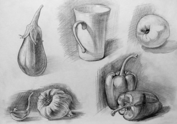 Волк карандашом