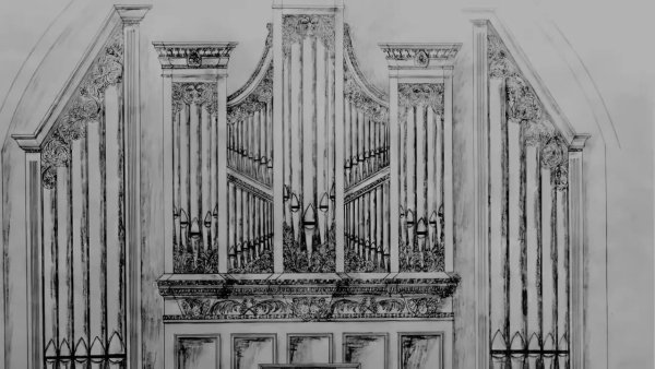 Орган иллюстрация