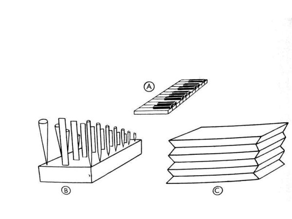 Контур человека с внутренними органами